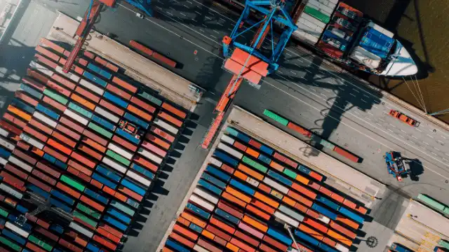 Container Port Congestion Statistics: June 2024